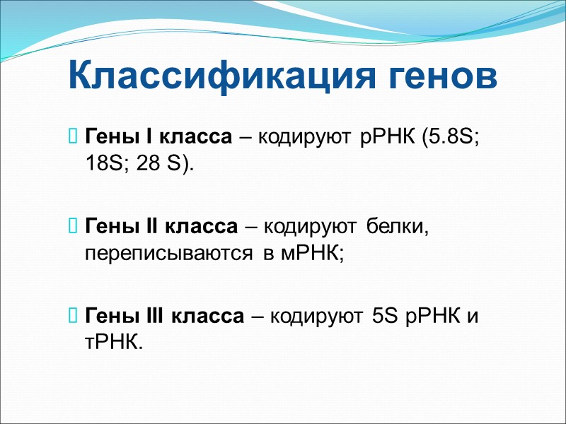 Классификация генов Гены I класса – кодируют рРНК (5.8S; 18S; 28 S).  Гены